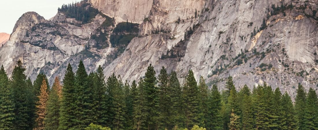 Bowhunting for Beginners: Choosing a Bow, Building Skill, and Getting Close