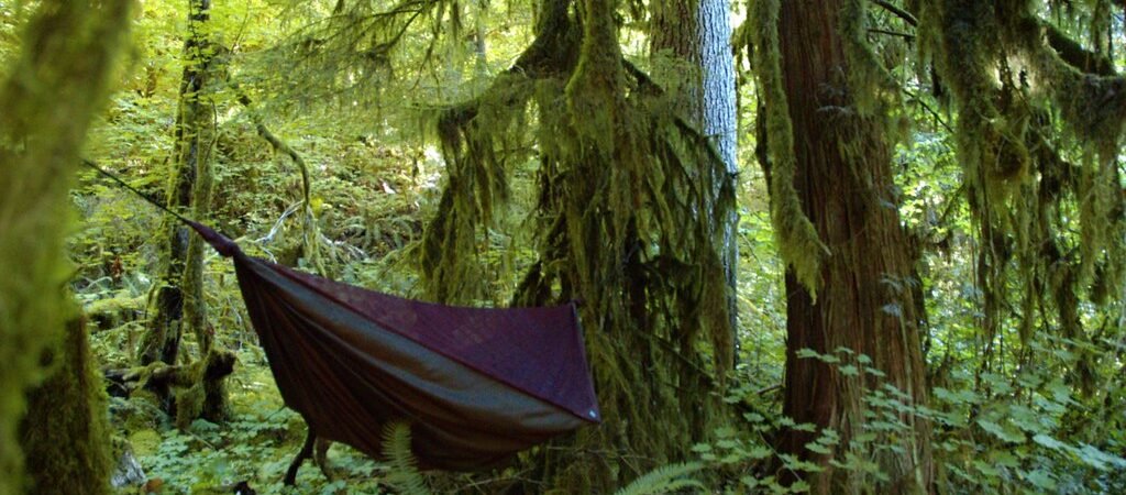 Hammock Camping for Beginners: The Setup, the Sag, and Staying Warm