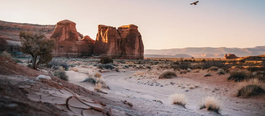 How to Find Water in the Desert