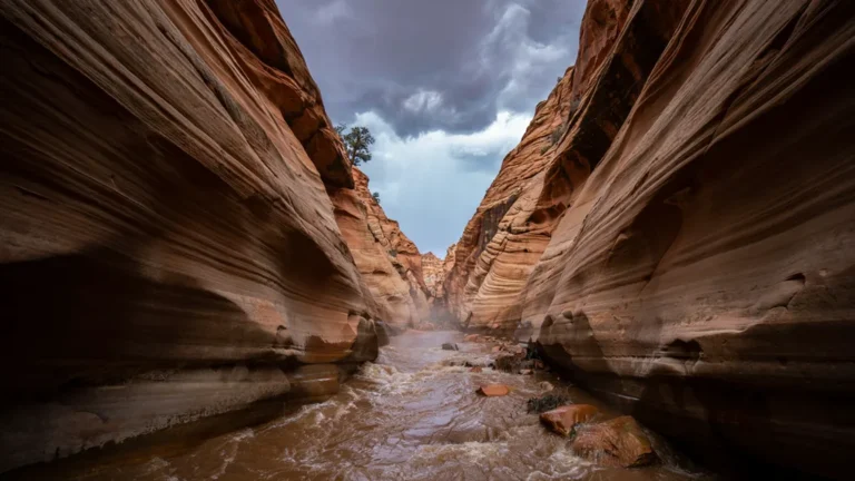 Storm and rushing water in a desert slot canyon