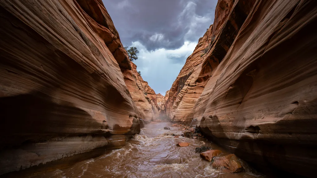 Flash Flood Safety: What to Do Outdoors