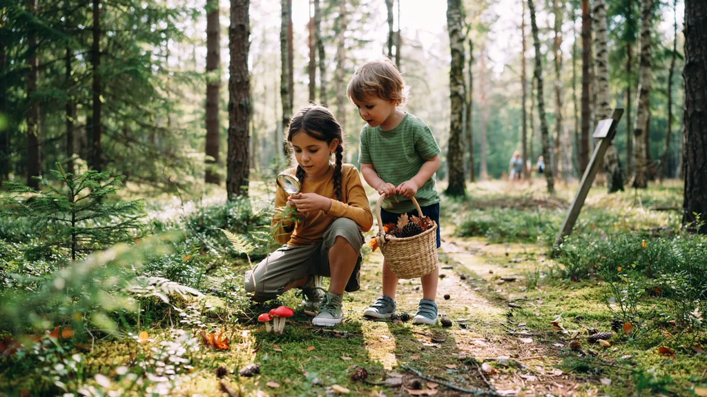 Nature Scavenger Hunt Ideas for Kids (Turn Any Walk Into an Adventure)