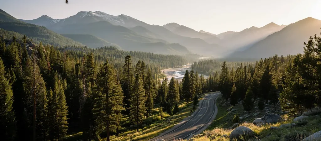 Best National Forests for Camping and Hiking (Skip the Park Crowds)