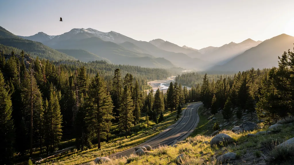 Best National Forests for Camping and Hiking (Skip the Park Crowds)