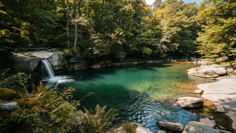 Natural swimming hole with clear turquoise water and a small waterfall