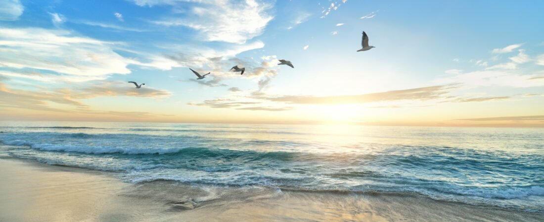 Surf Fishing for Beginners: Rods, Rigs, and Reading the Beach