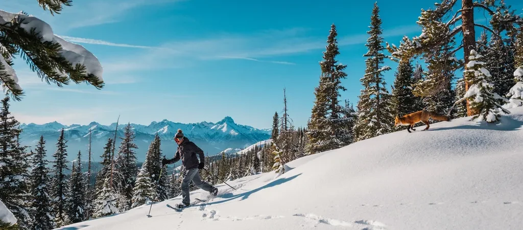 10 Best Beginner Snowshoeing Trails in the US (Plus the Gear to Bring)