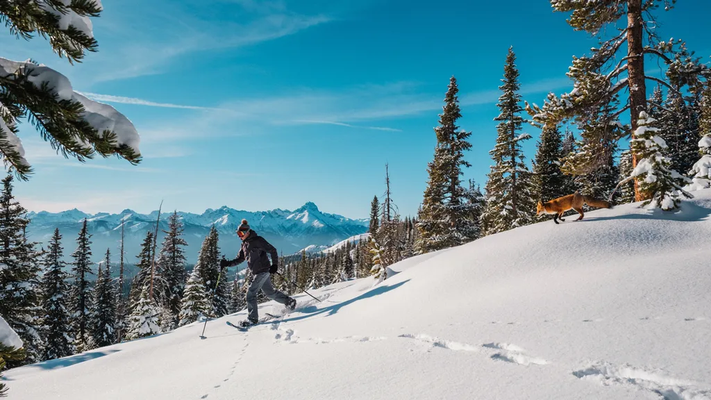 10 Best Beginner Snowshoeing Trails in the US (Plus the Gear to Bring)