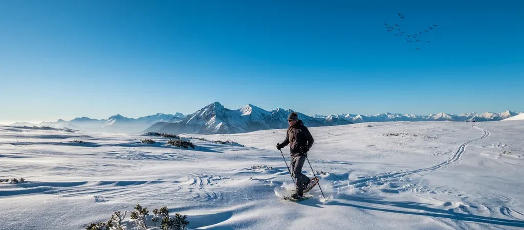 Snowshoeing for Beginners: The Easiest Way Into Winter Adventure
