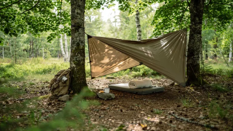 A ridgeline tarp shelter pitched between trees in a forest