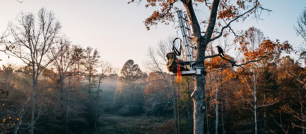 Treestand Safety & Setup (The System That Prevents Falls)