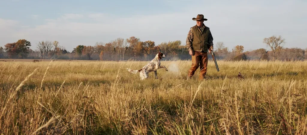 Upland Bird Hunting for Beginners: Pheasant, Quail, and Grouse