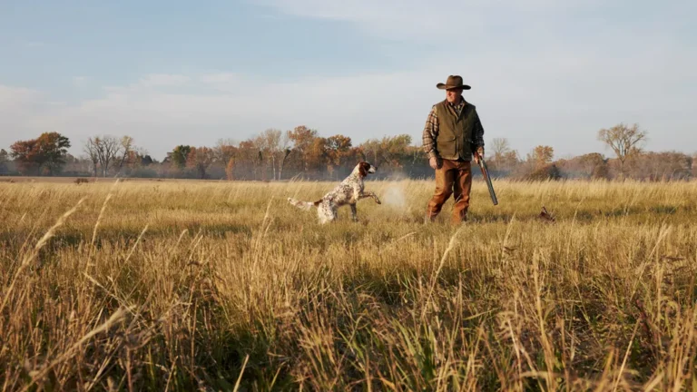 An upland bird hunter with a pointing dog in a golden field