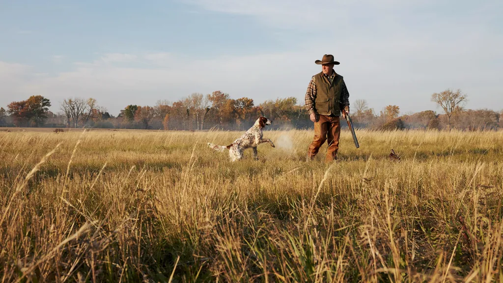 Upland Bird Hunting for Beginners: Pheasant, Quail, and Grouse